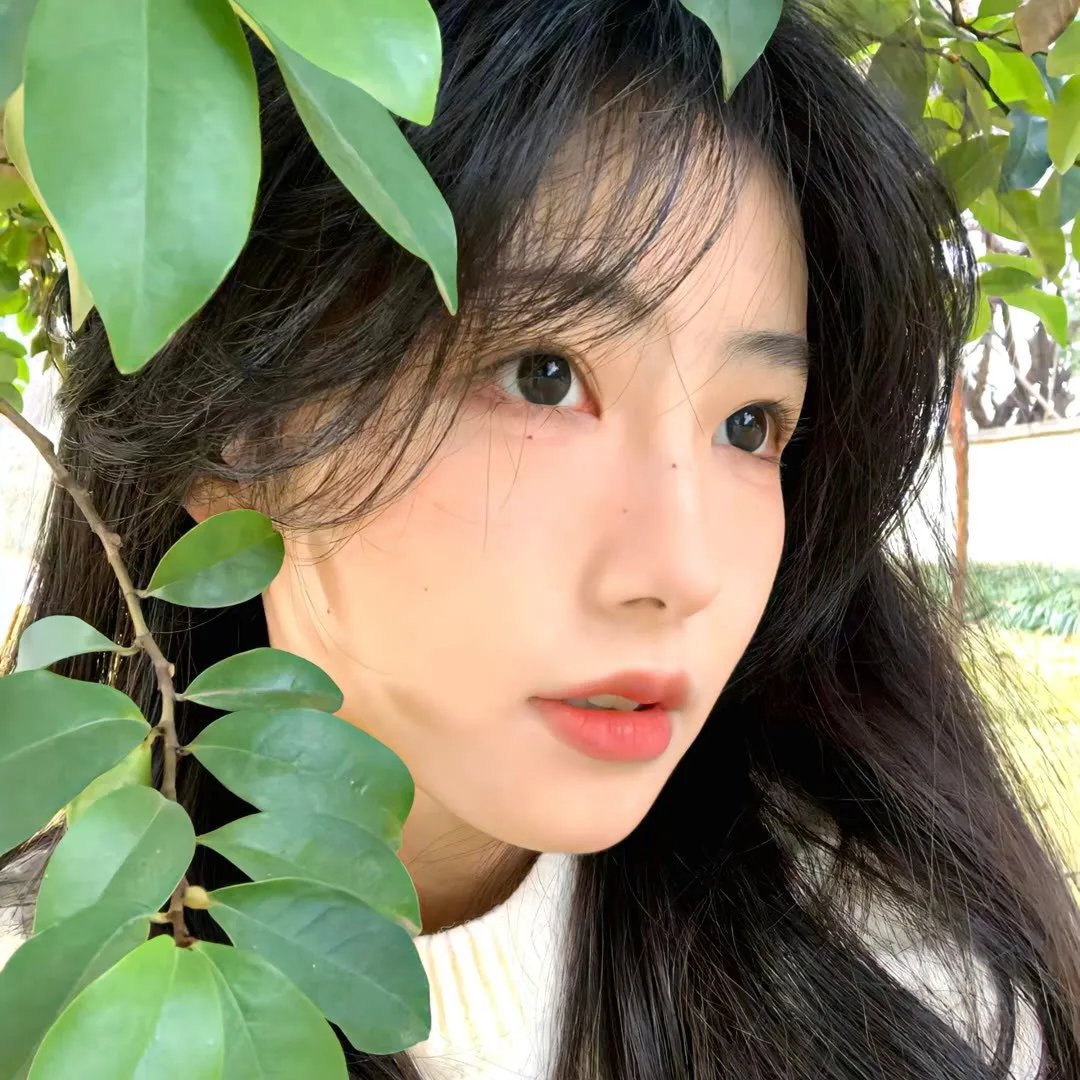 美女食神